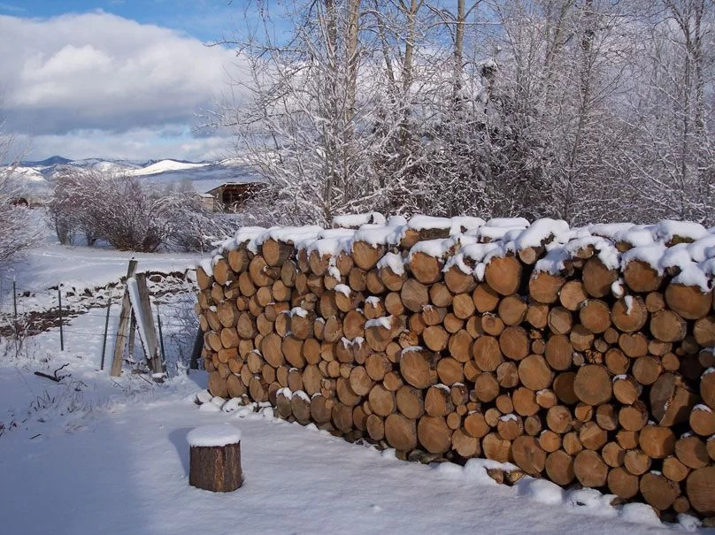 Wood-Pile-002