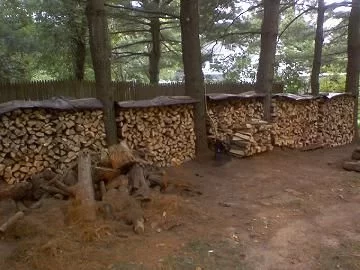 WOOD-PILE II