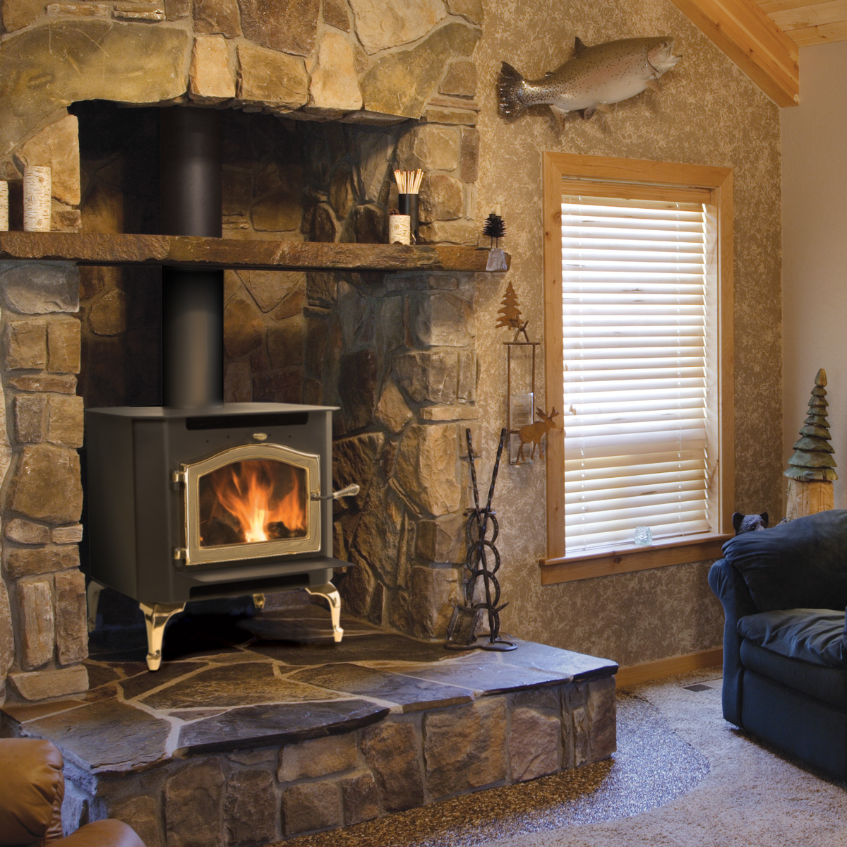 Wood Stove in Fireplace