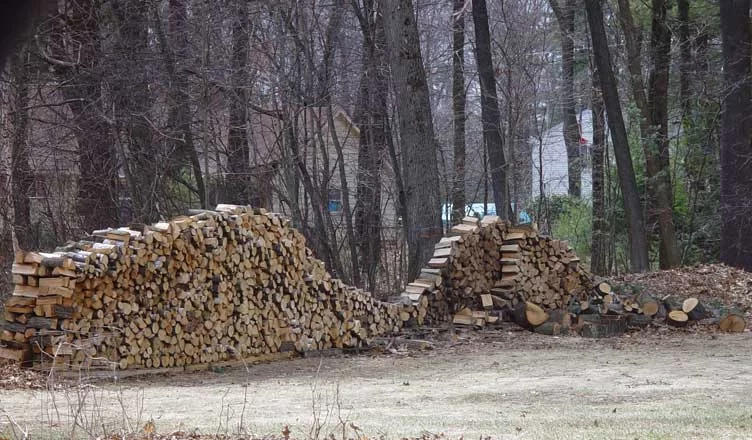 Woodpile5