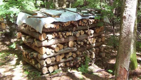 Woodpile66