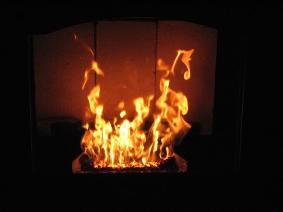 [Hearth.com] Here is what my stove looks like right now.....