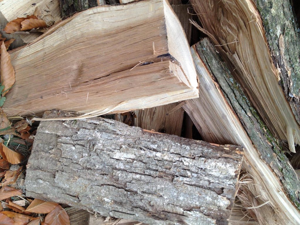 [Hearth.com] Wood ID