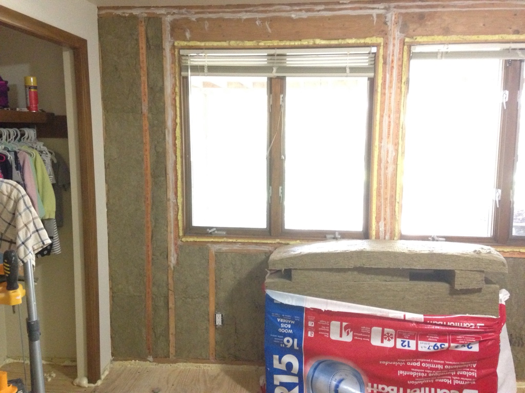 Wall Insulation - Looking for Opinions