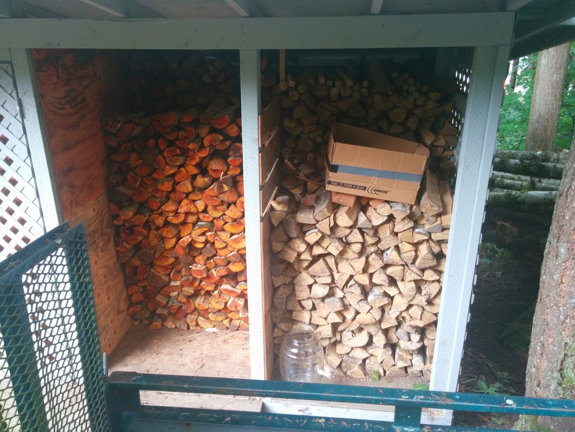 spent the day chopping wood. can you guess which half of the wood shed has fresh wood,