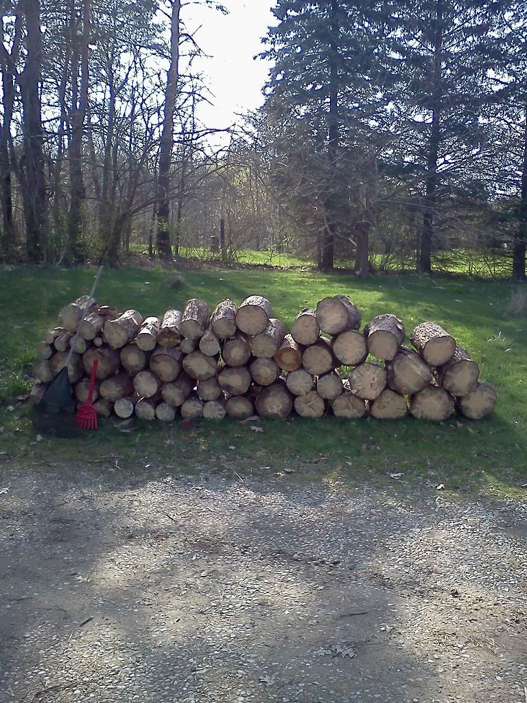 Cut some shoulder season wood today!