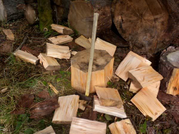 [Hearth.com] Help me Decide About Past-Prime Wood