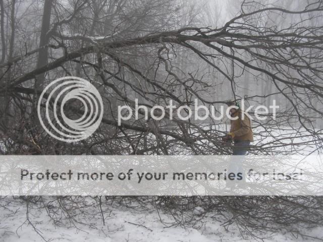 [Hearth.com] Some Wood Gathering Pics From Around My Property.