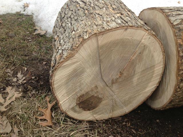 [Hearth.com] Help With Wood ID
