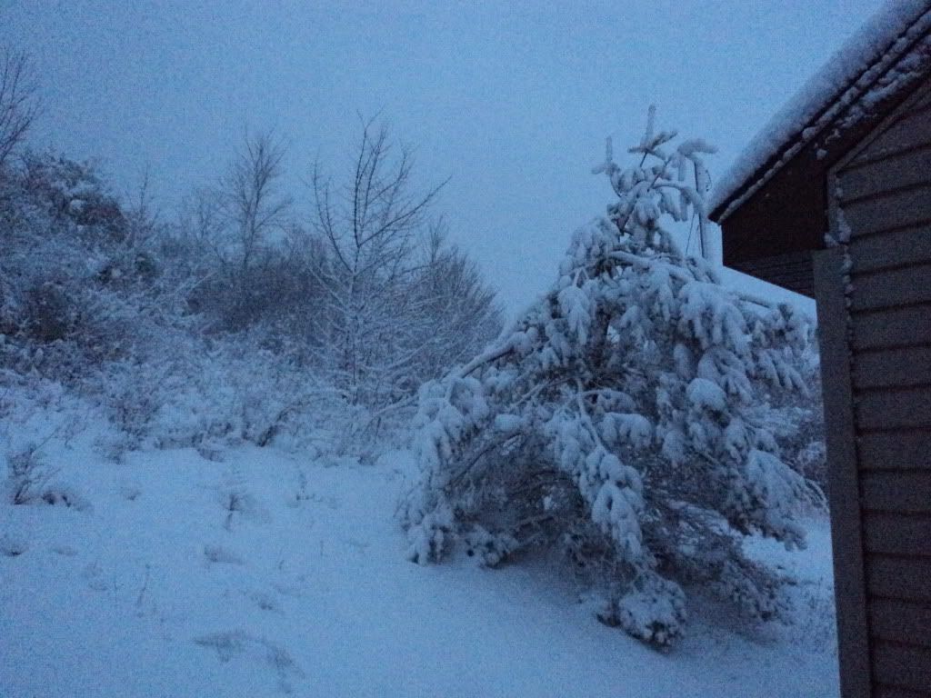 20"of snow  don't shut that stove down just yet