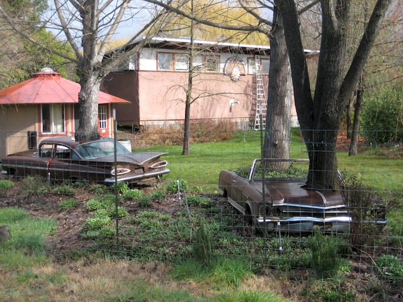 [Hearth.com] Tire in a tree??  Help solve the caper??