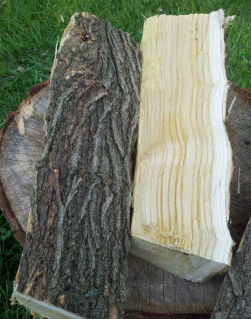 [Hearth.com] Wood ID