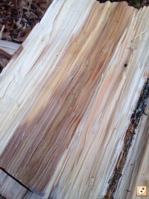 [Hearth.com] FREE wood - Do you know what it is???