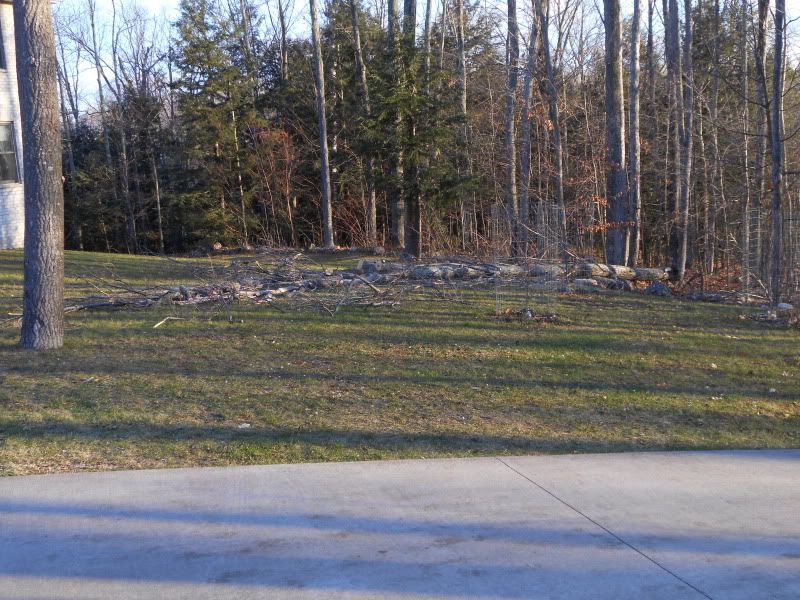[Hearth.com] Trees in yard