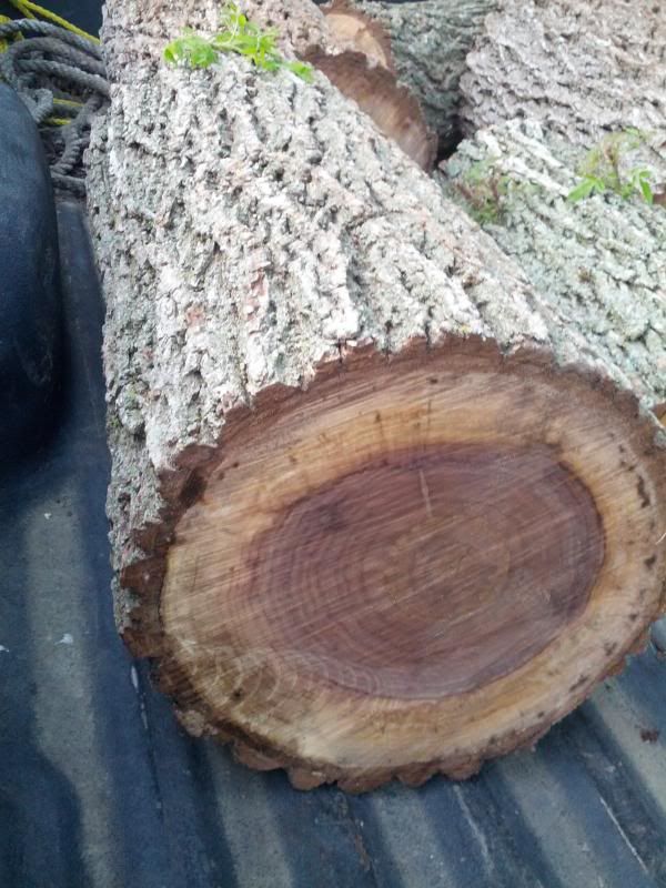 [Hearth.com] My first wood ID post ....