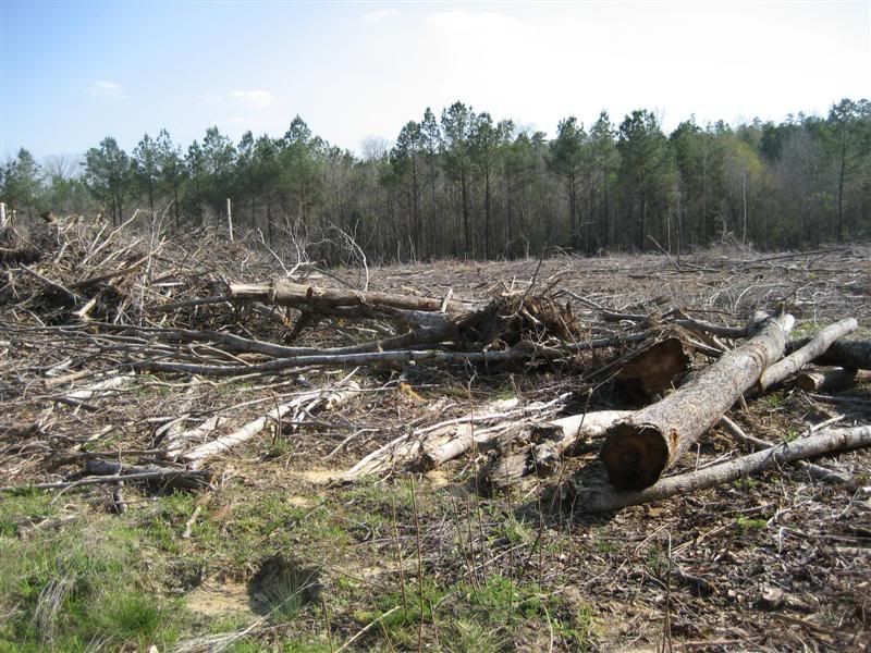 [Hearth.com] Intheswamp's wood "getting"....it's getting too hot to get wood!!!