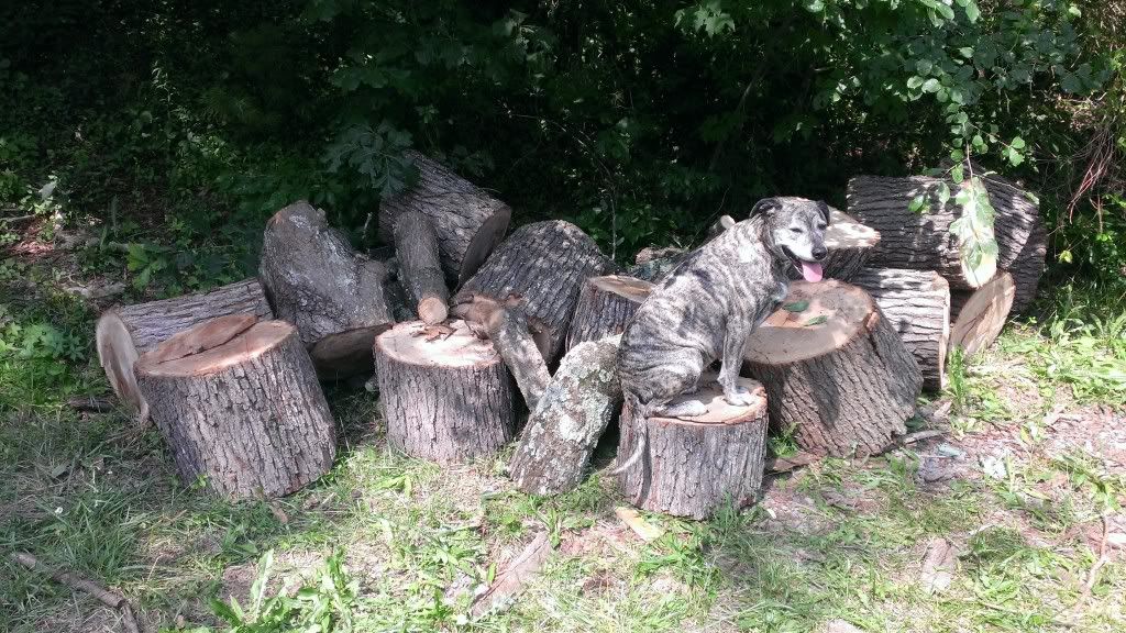 [Hearth.com] Getting big rounds in the truck