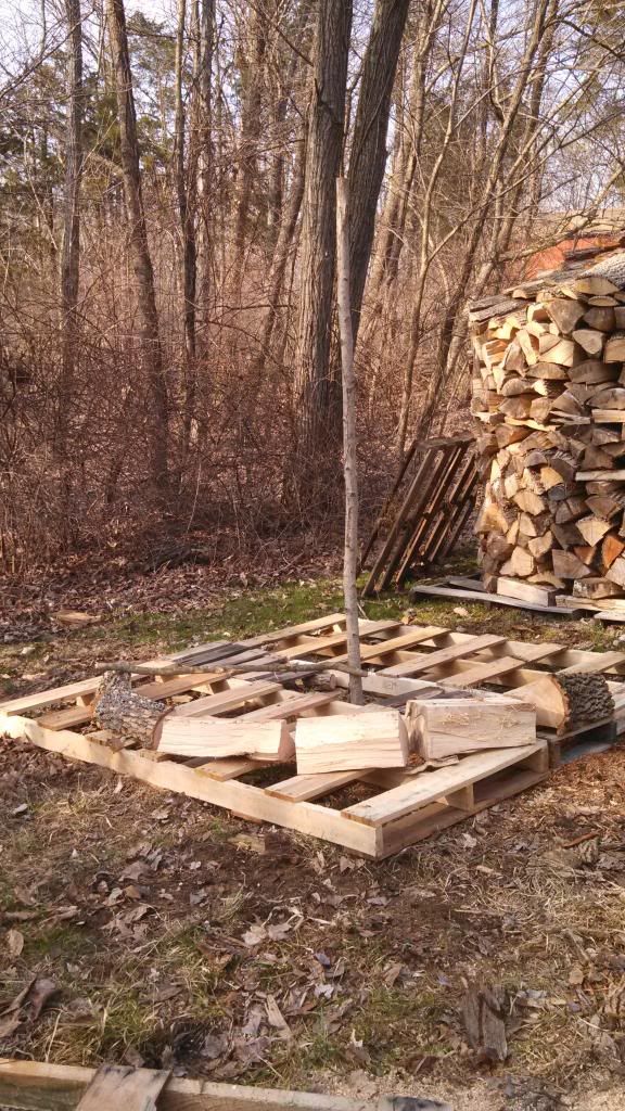 [Hearth.com] Holz Hausen Down!