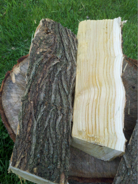 [Hearth.com] Poplar?