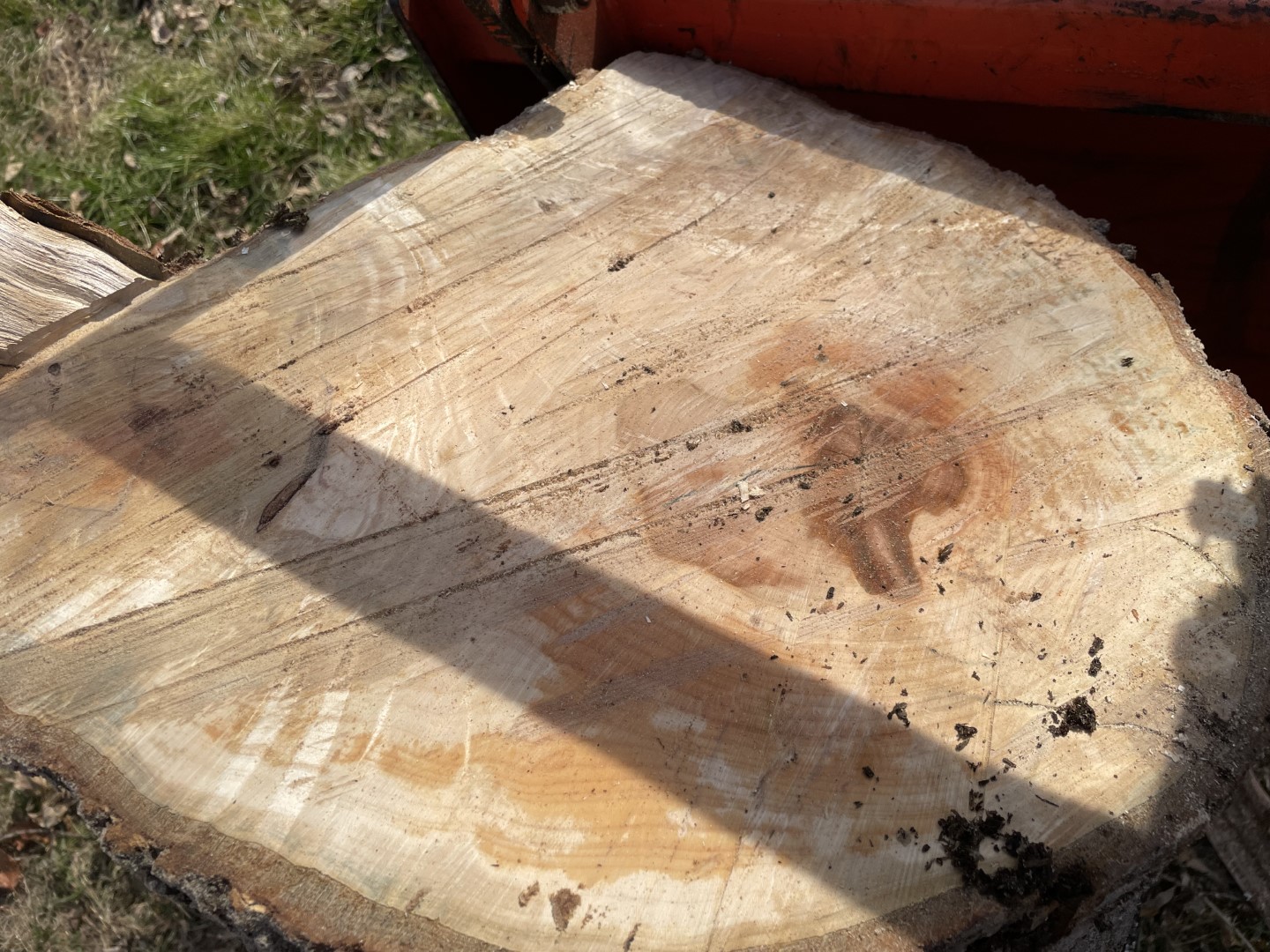 [Hearth.com] Request for wood ID:  Silver Maple?