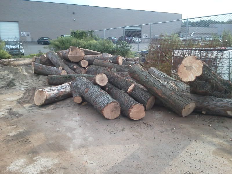 [Hearth.com] Scored another load! Wood ID?