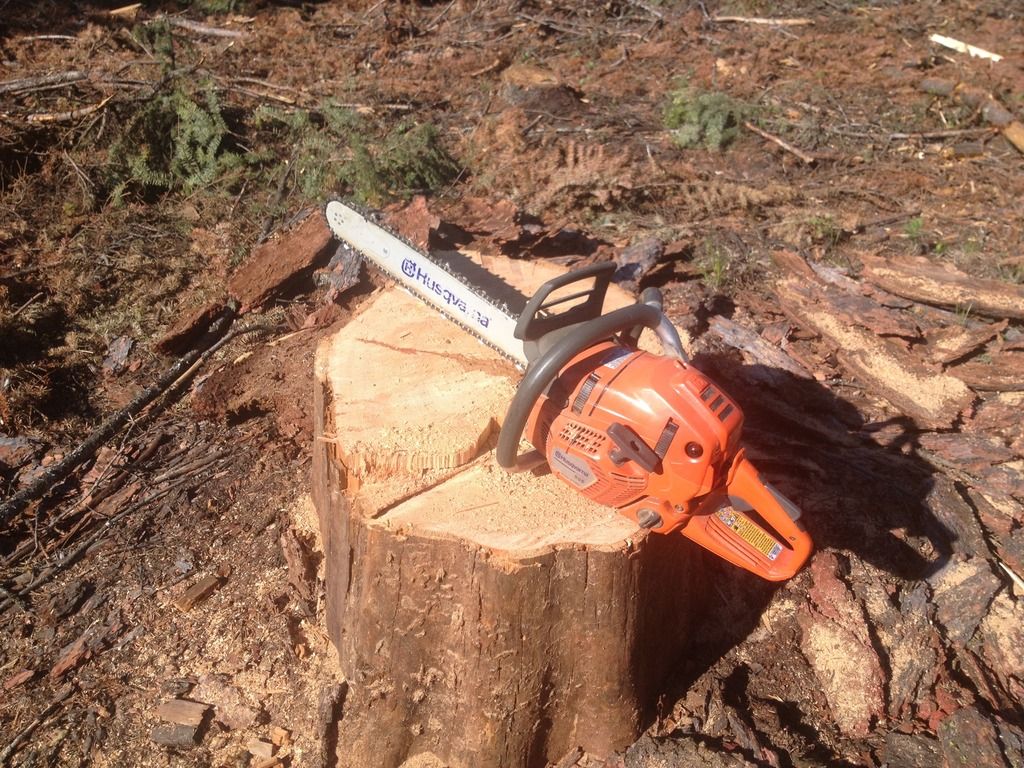 [Hearth.com] Little adventure up in 'Larch' land.