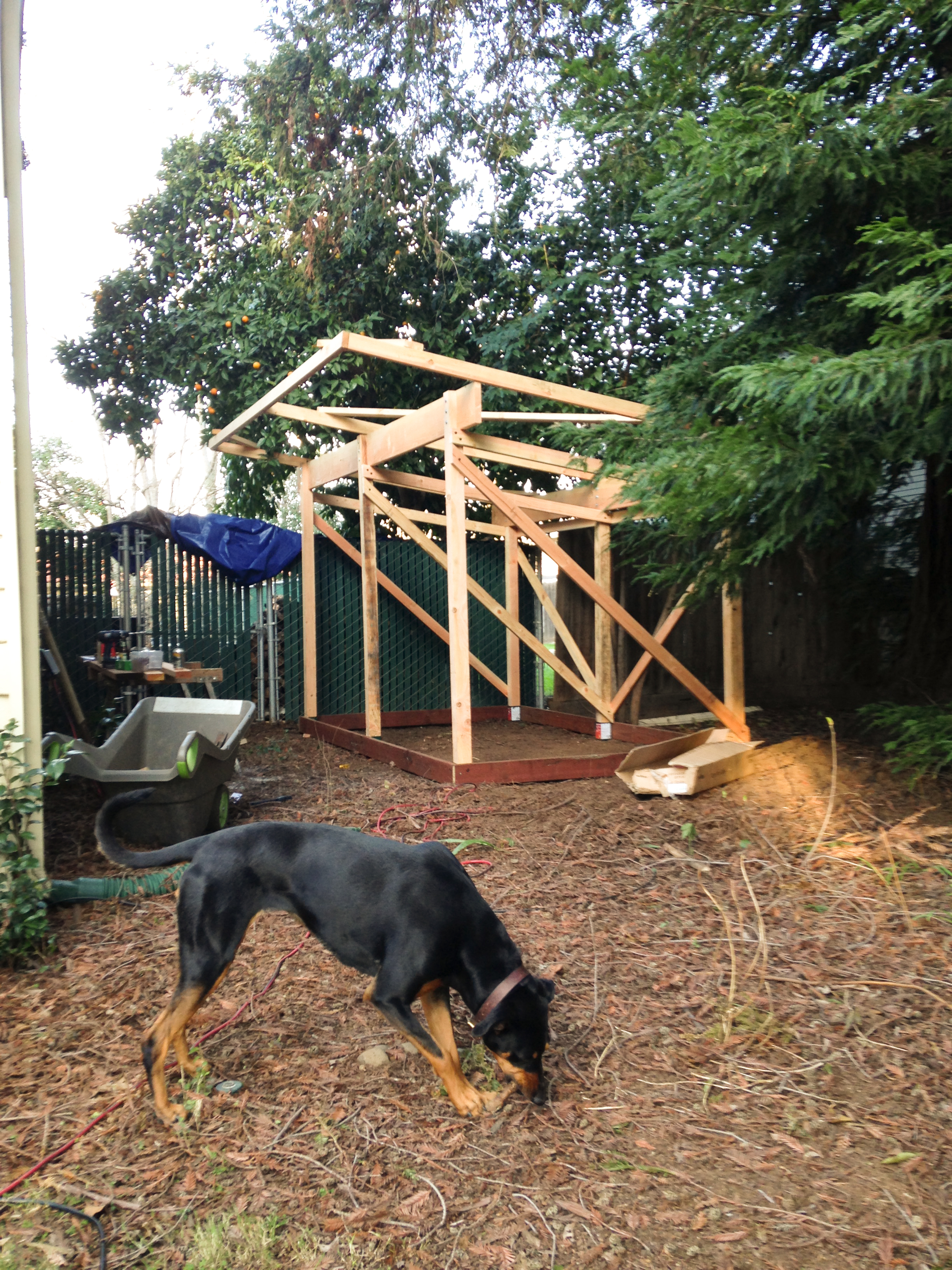 Build thread: My first wood shed.