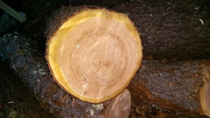 [Hearth.com] Is this really cherry?