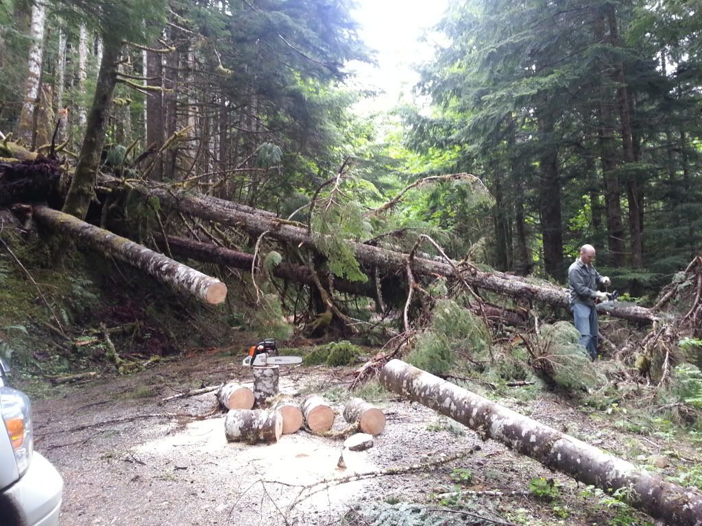 [Hearth.com] Weekend firewood gatherings