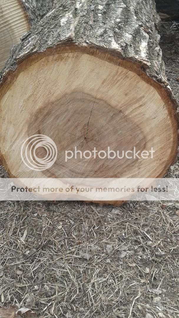[Hearth.com] Need help with a wood ID