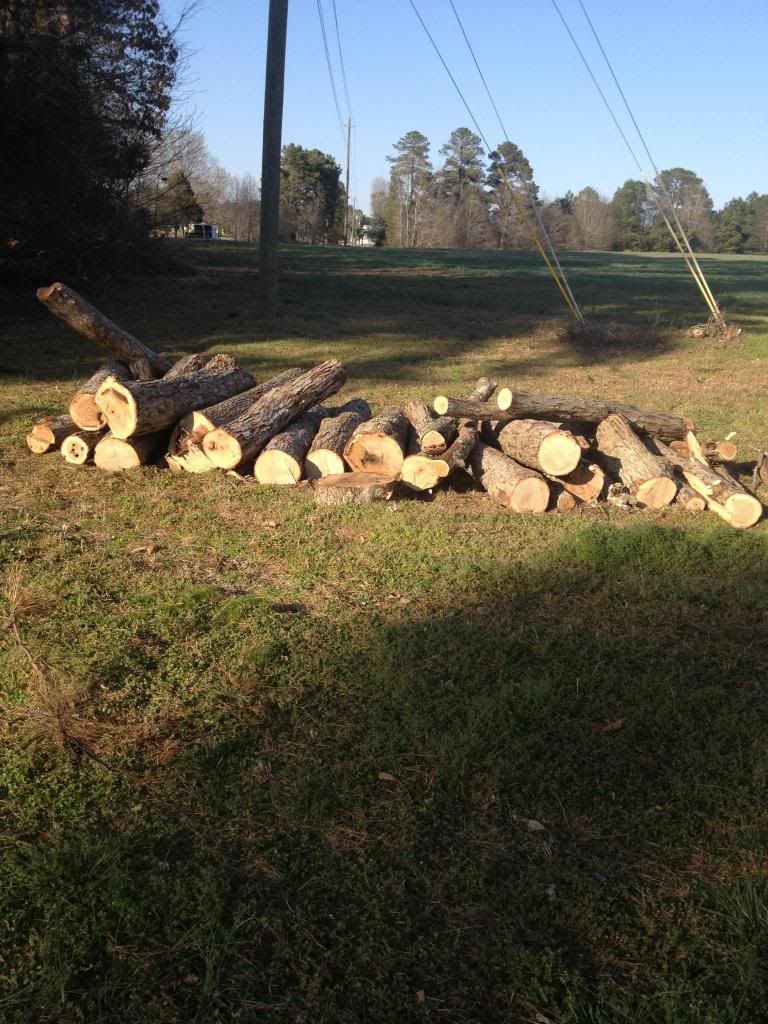 Made friends with a Tree Service man... would you pay $30 for this load of white oak?