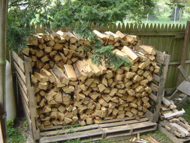 [Hearth.com] Irene droppings