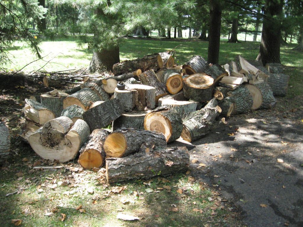 [Hearth.com] Firewood fairy took a dump in the driveway