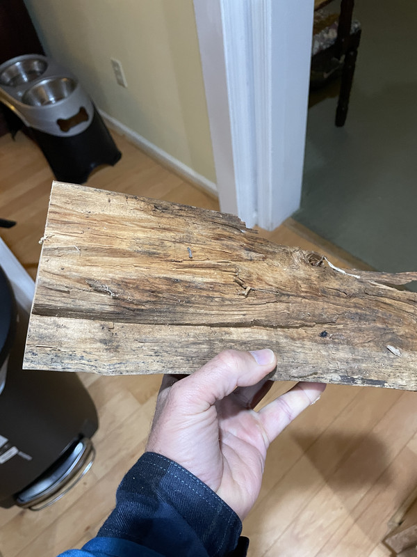 [Hearth.com] Know your end grain? Wood ID please