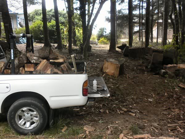[Hearth.com] Help me Decide About Past-Prime Wood