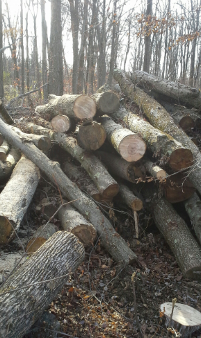 [Hearth.com] Working My Pile