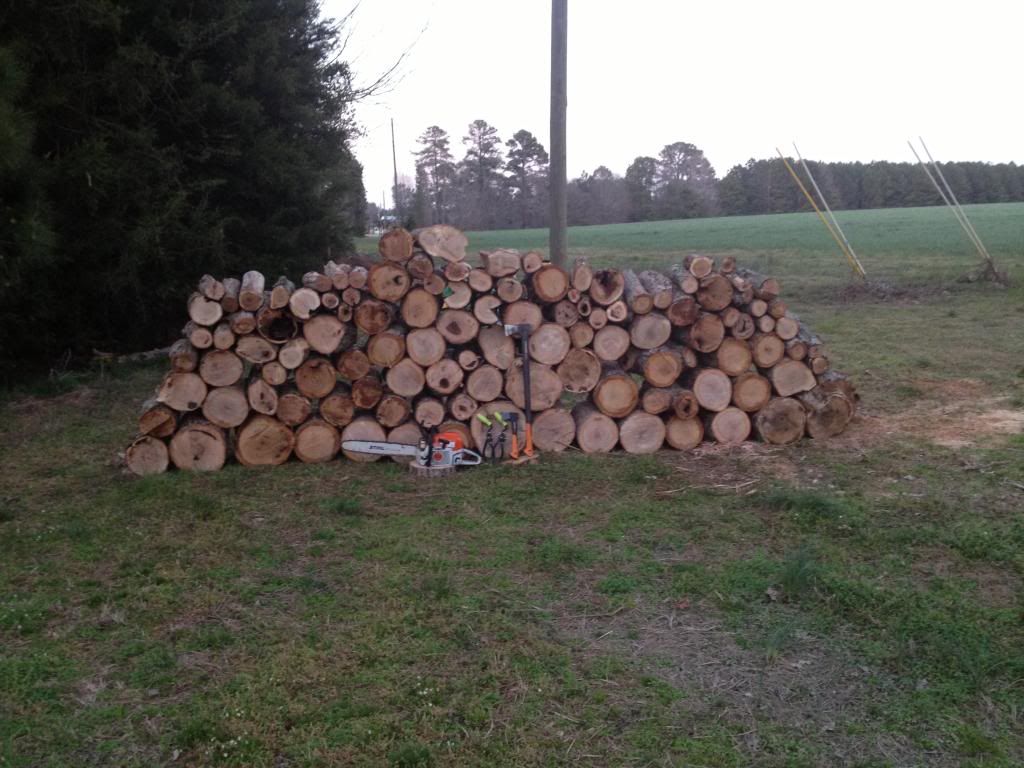 Made friends with a Tree Service man... would you pay $30 for this load of white oak?