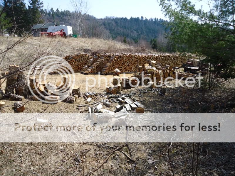 Processing 2013-2015 wood - pics