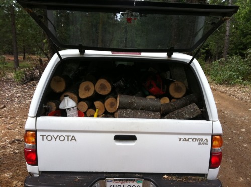 [Hearth.com] Went out cutting last weekend :)
