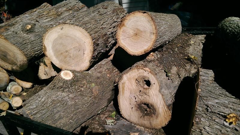 [Hearth.com] Wood ID please
