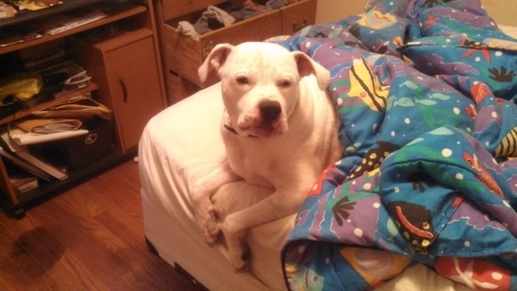 [Hearth.com] pet picture thread