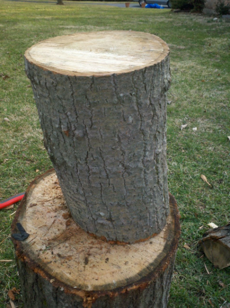[Hearth.com] Need Some Help, Wood ID