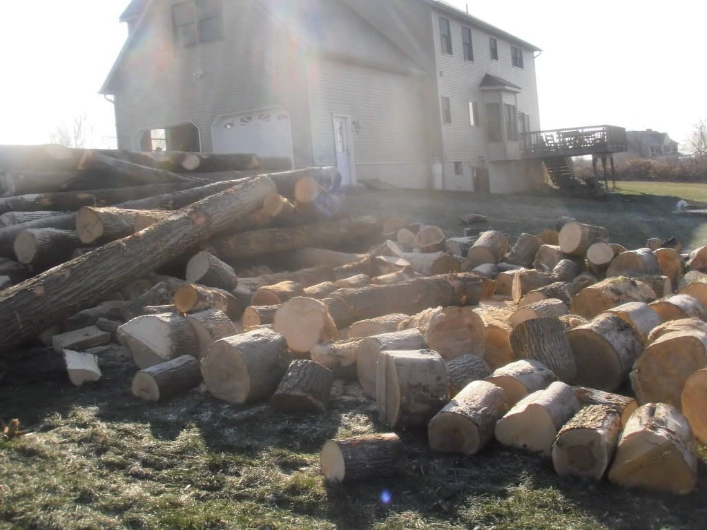 [Hearth.com] Load of logs showed up today