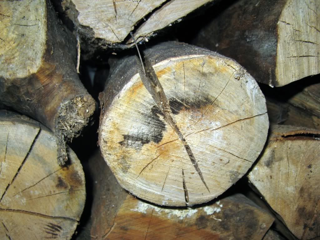 [Hearth.com] If forced to burn 20% wood...