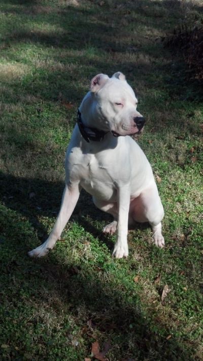 [Hearth.com] pet picture thread