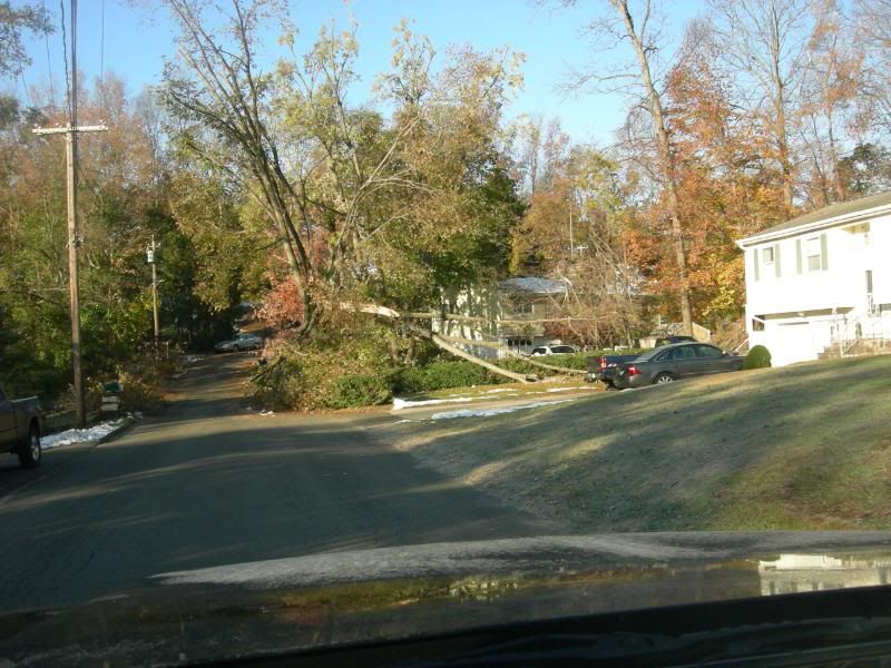 Pictures Of the ct storm