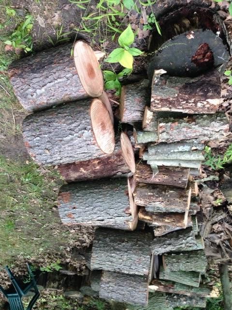 [Hearth.com] Neighbor lady comes through again