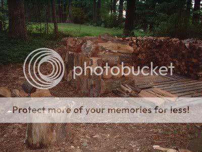 [Hearth.com] Yes, Firewood Grows On Trees