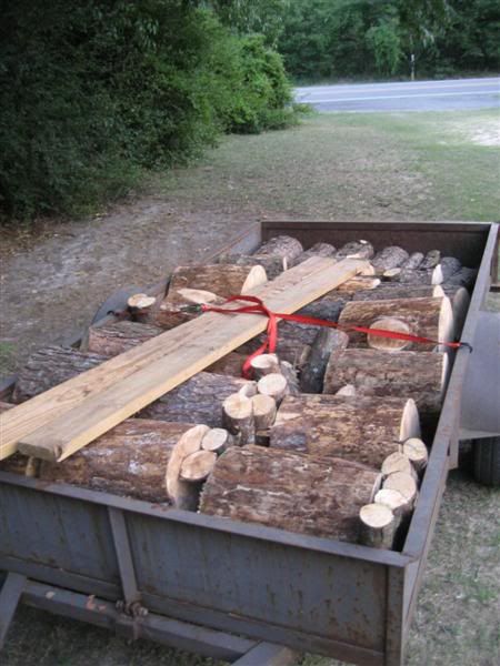 [Hearth.com] What about this pine?  and...how to cut it?