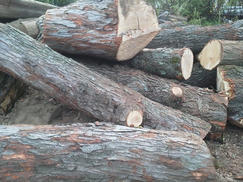 [Hearth.com] Scored another load! Wood ID?